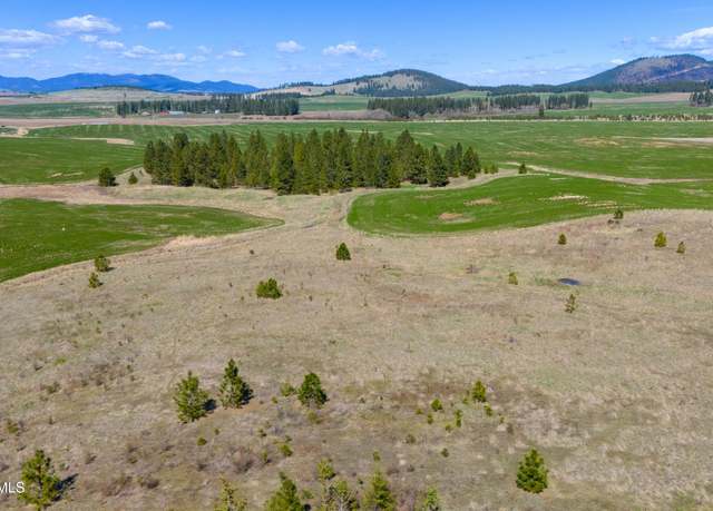 Property at Lot 4 Lone Moose Dr, Plummer, ID 83851
