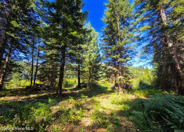 Property at Nna Pup Paw 10 Acres, Priest River, ID 83856