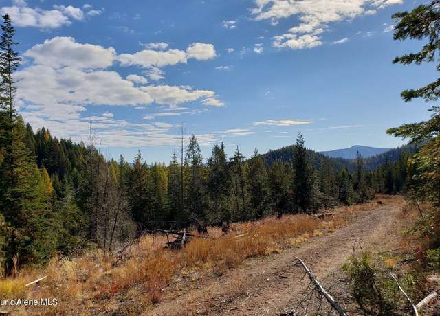 Property at 114a Packer Creek Rd, Haugen, MT 59842