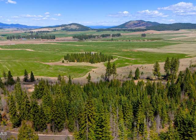 Property at Lot 11 Lone Moose Dr, Plummer, ID 83851