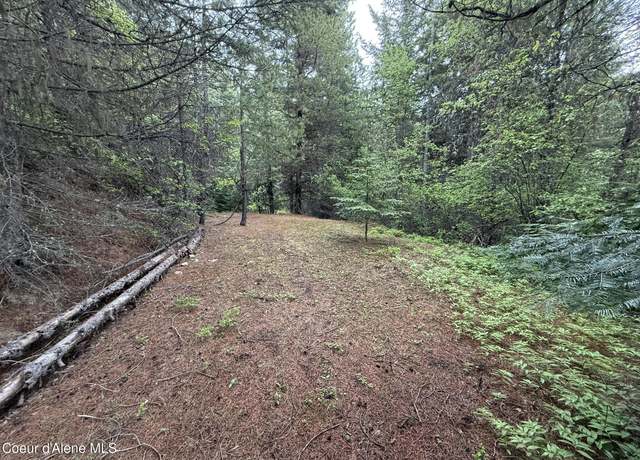 Property at 1605 Crystal Peak Rd, Fernwood, ID 83830