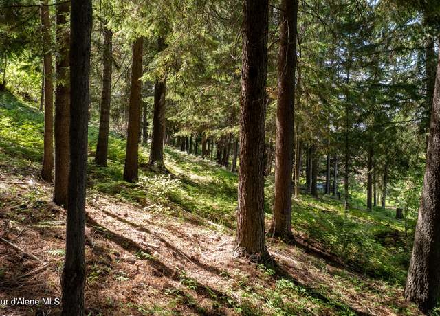 Property at NKA Makridge Ln, Kingston, ID 83839