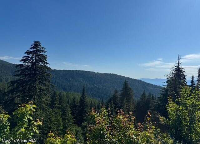 Property at NNA Avalanche Dr, Sandpoint, ID 83864