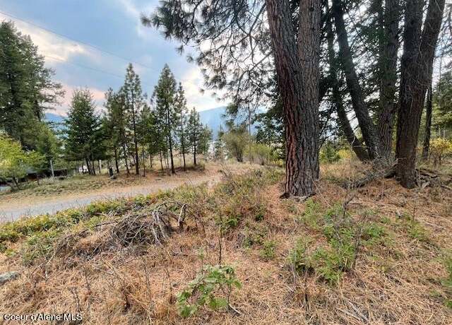 Property at NKA Cape Horn Dr, Bayview, ID 83803