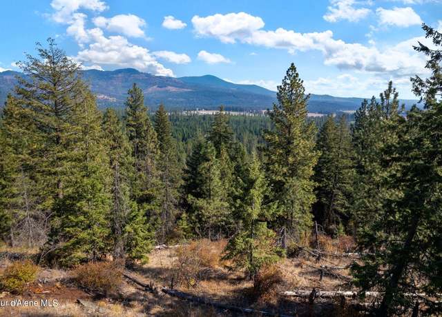 Property at NNA Horn Mountain Rd, Priest River, ID 83856