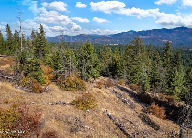 Property at NNA Horn Mountain Rd, Priest River, ID 83856