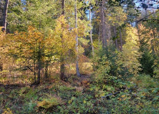 Property at NNA Windham Rd, Sagle, ID 83860