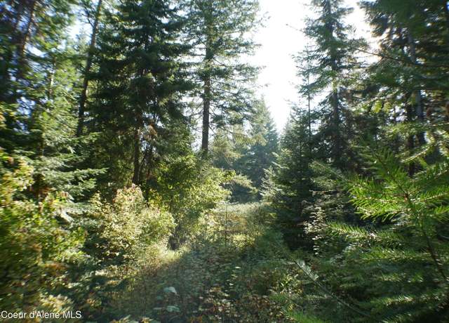 Property at Mutch Creek Road (parcel 4), St. Maries, ID 83861