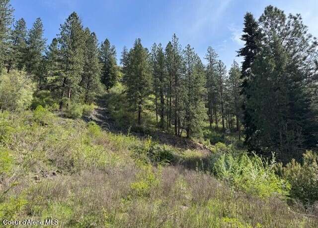 Property at Nka Odessa Lp, St. Maries, ID 83861