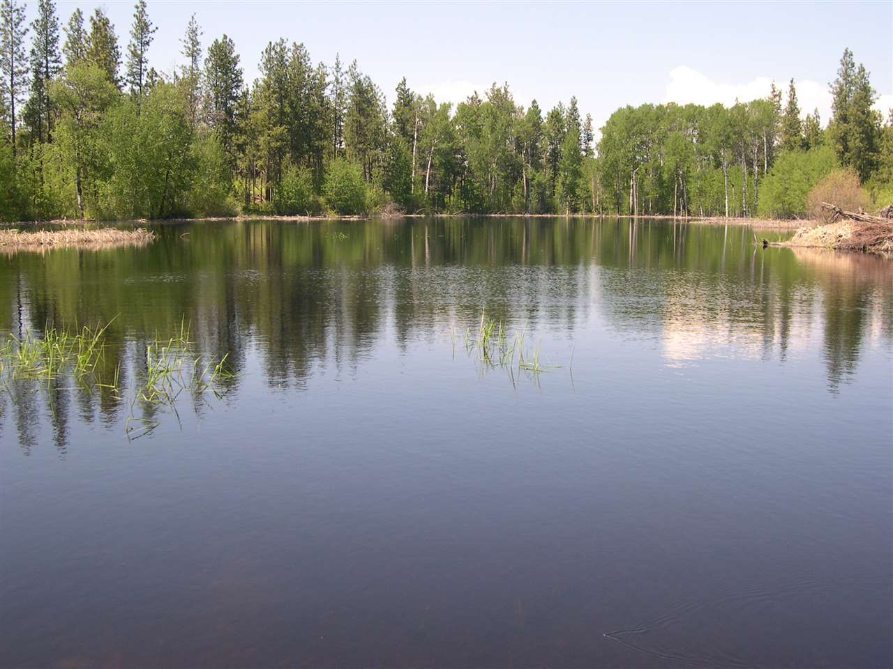 Xxx av 21223