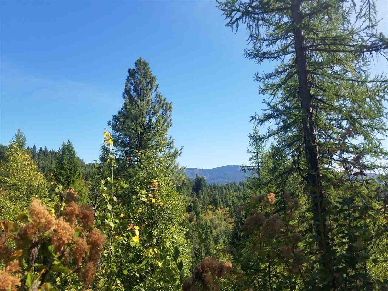 12022 S Alpine Fern Ln, Rockford, WA 990300000 MLS 201922924 Redfin