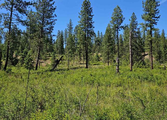 Property at 20X Lynx Rd, Inchelium, WA 99138