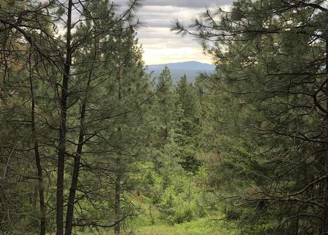Property at Unknown Waldrons Ln, Chattaroy, WA 99003