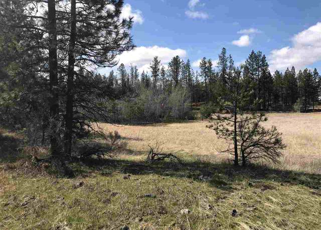 Property at 00 W 53rd Ave, Spokane, WA 99224