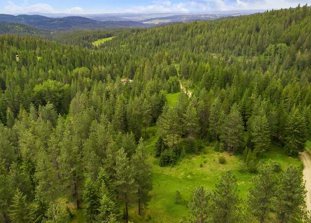 Property at 23300 N Mt Spokane Park Dr, Mead, WA 99021