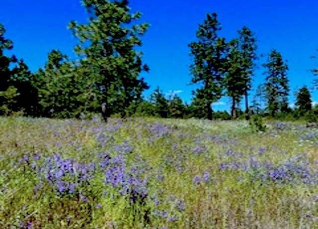 Property at Lot A Kronos Short Plat Ln, Davenport, WA 99122
