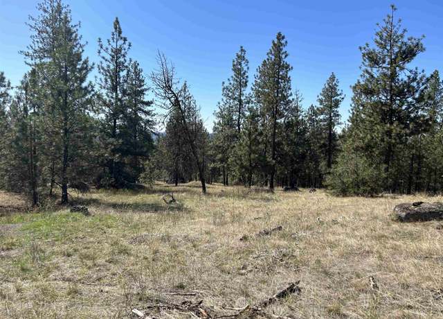 Property at NNA Corkscrew Canyon Rd, Tumtum, WA 99034