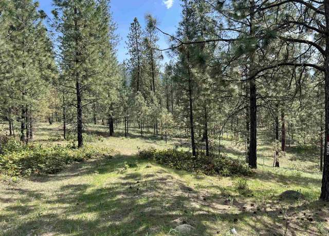 Property at XXX N Junco Way, Kettle Falls, WA 99141