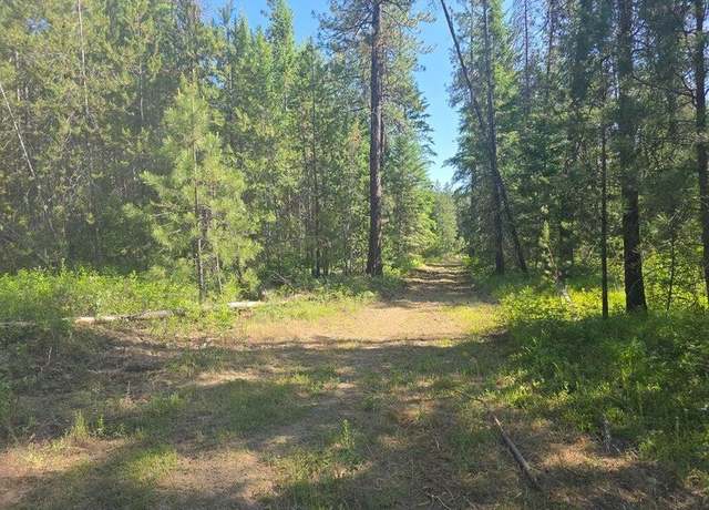 Property at XXX Hwy 395 Hwy, Loon Lake, WA 99148-0000