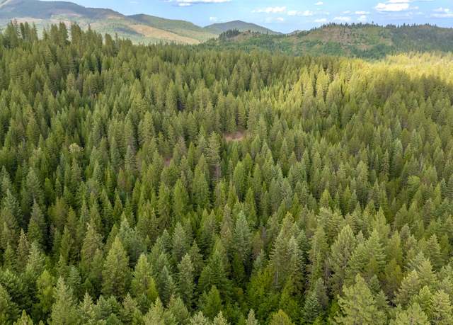 Property at 00 Buck Creek Rd, Loon Lake, WA 99148