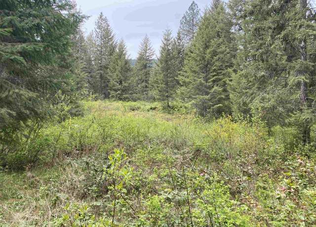 Property at 345X Lael Rd, Kettle Falls, WA 99141
