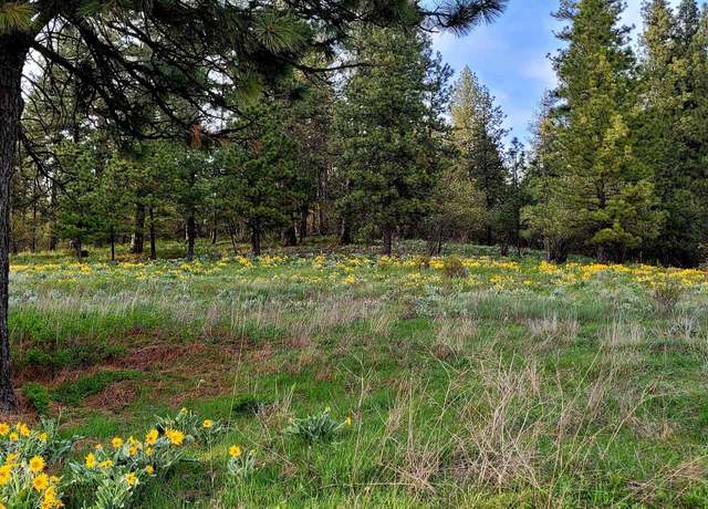 Property at 6XXX E Big Rock Rd, Spokane, WA 99223
