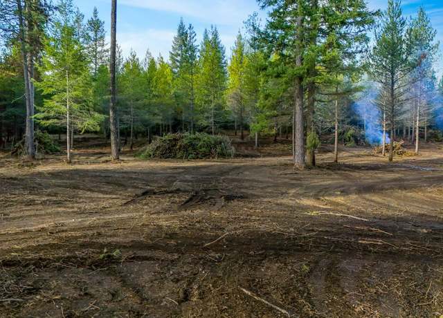 Property at 321 Glendale Dr, Newport, WA 99156