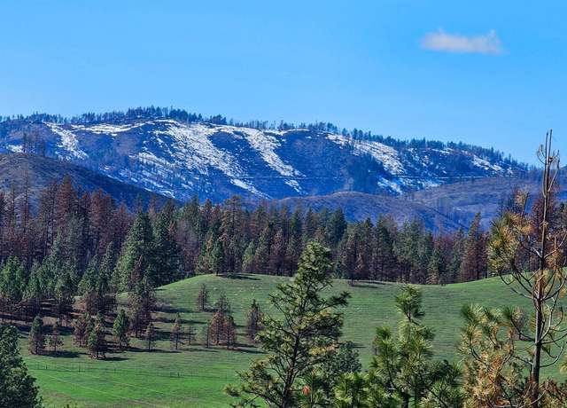 Property at 000 Hwy 21, Inchelium, WA 99140