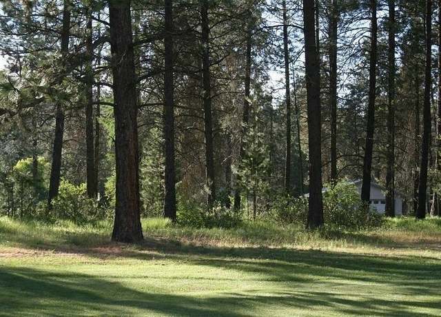 Property at 205 Eagle Dr, Chewelah, WA 99109-9602