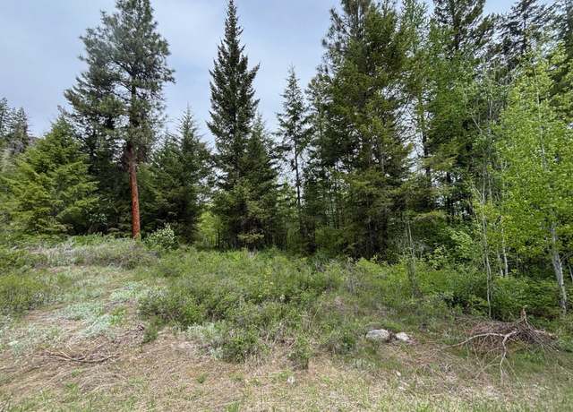 Property at 1xx Rocky Canyon Rd #3629220014, WA 98855