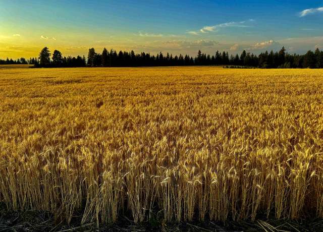 Property at 0 E Orchard Bluff Rd Lot A Rd, Chattaroy, WA 99003