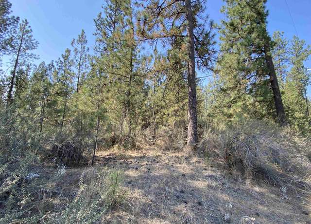Property at 59XX WA 291 Hwy, Nine Mile Falls, WA 99026
