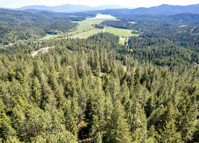 Property at xxx N Singing Hills Dr Lot 2 Parcel 572119021, Newman Lake, WA 99025