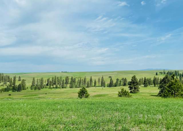 Property at 11900 Hays Rd Lot A - Parcel 9030, Spangle, WA 99031