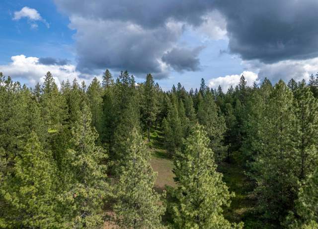 Property at 000 E Nelson Rd, Elk, WA 99009