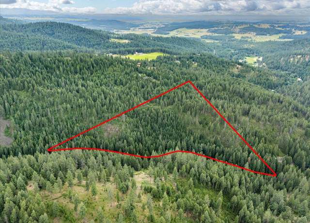 Property at 19960 N Mt Spokane Park Dr Unit Parcel  47134.9099, Mead, WA 99021