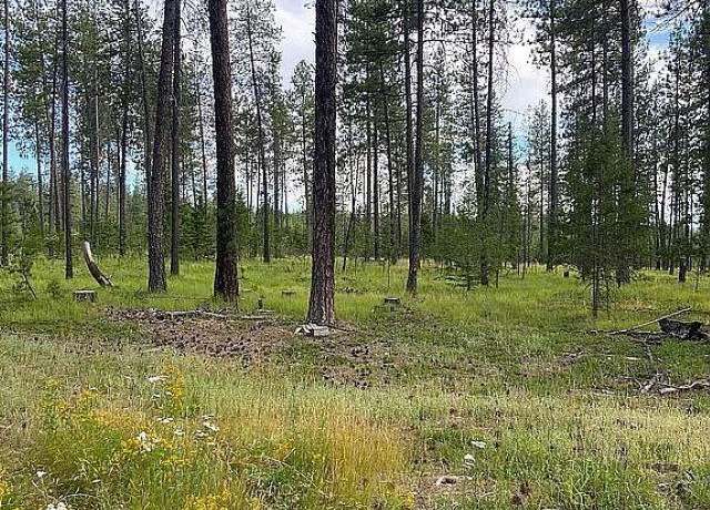 Property at 151XX E Oregon Rd Unit Parcel 49111.9068, Elk, WA 99009