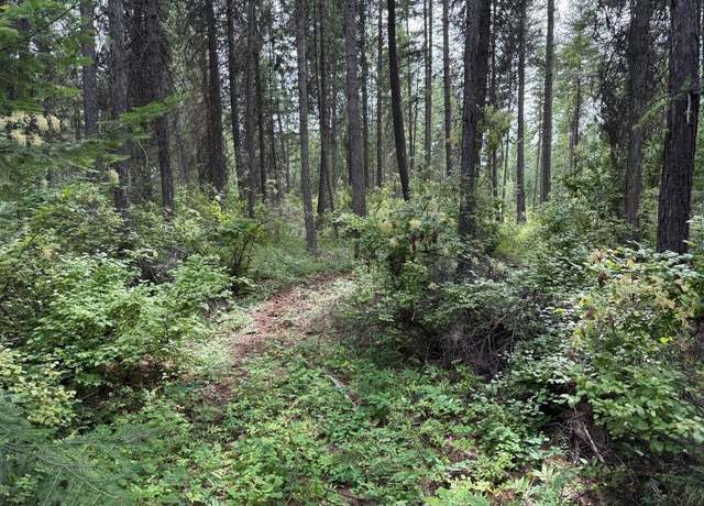 Property at Lot 2 Springdale Hunters Rd, Springdale, WA 99173