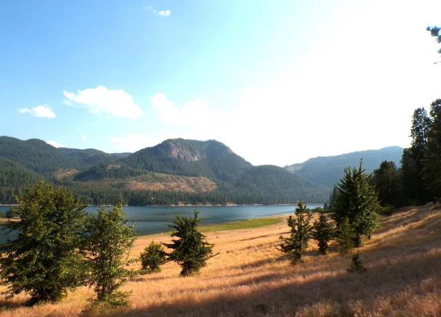 Property at 36XX Critter Way, Kettle Falls, WA 99141
