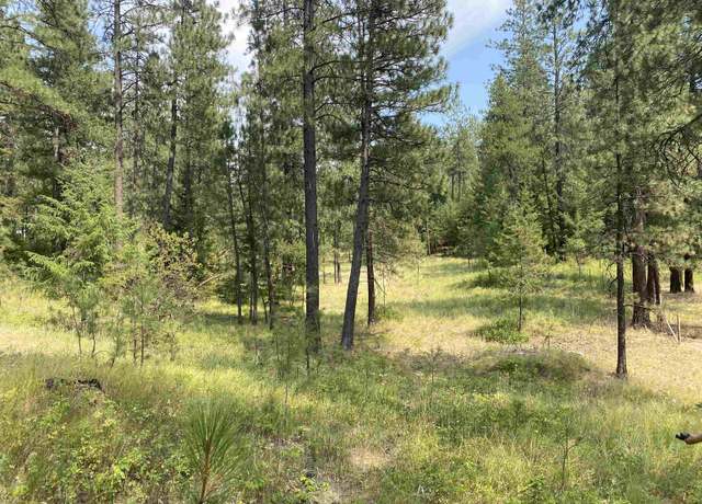 Property at XXXXX E Elk-chattaroy Rd, Elk, WA 99009