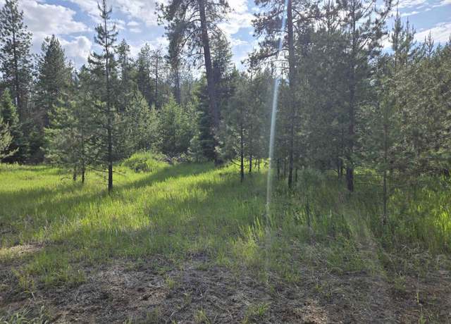 Property at 26XX Sand Canyon Lot 3 Rd, Chewelah, WA 99109