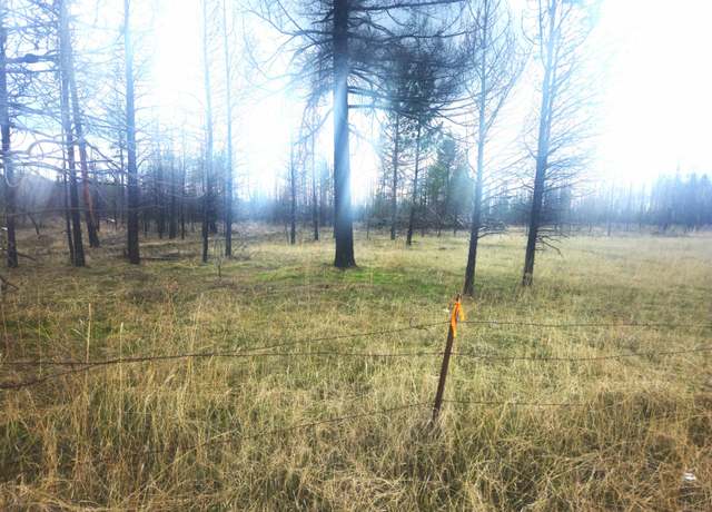 Property at 000 Frideger 49013.9036 Rd, Elk, WA 99009