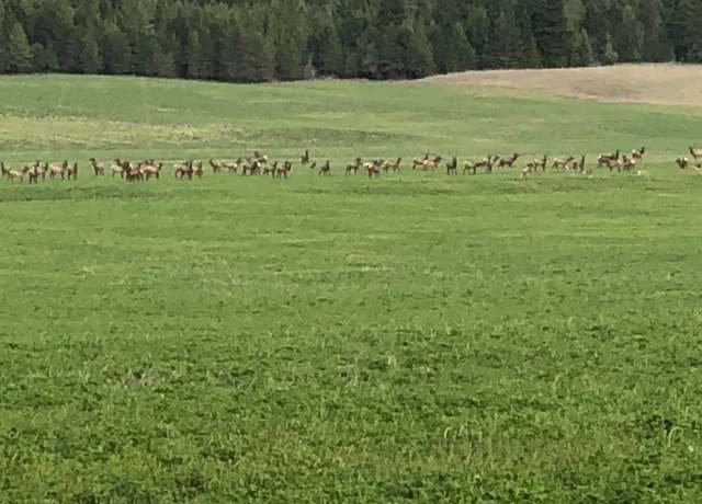 Property at Sherman/latig Lot T Ln, Deer Park, WA 99006