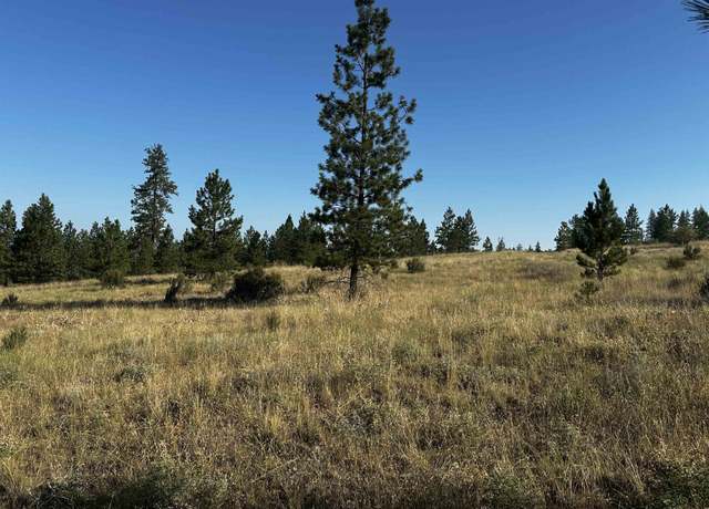 Property at 36295 SR 231 N, Reardan, WA 99029