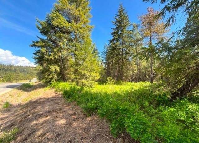 Property at 41XX W Cemetery Rd, Springdale, WA 99173