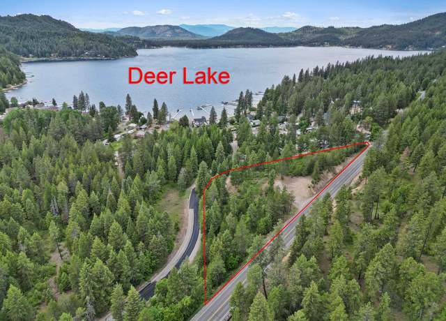 Property at 45XX E Deer Lake Way, Loon Lake, WA 99148-0000