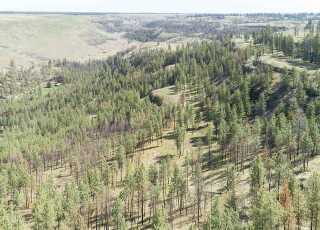 Property at 31875 Hawk Creek Ranch Rd Rd N, Davenport, WA 99122-8569