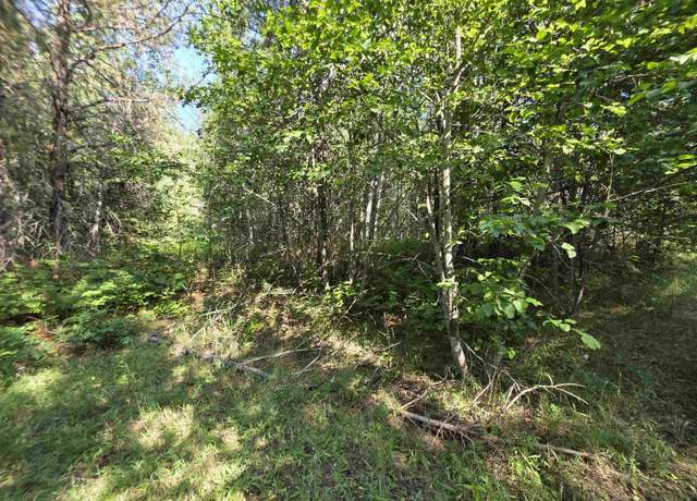 Property at 71 Hearts Delight Ln, Newport, WA 99156