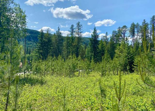 Property at TBD W Joyner Dr, Cusick, WA 99119