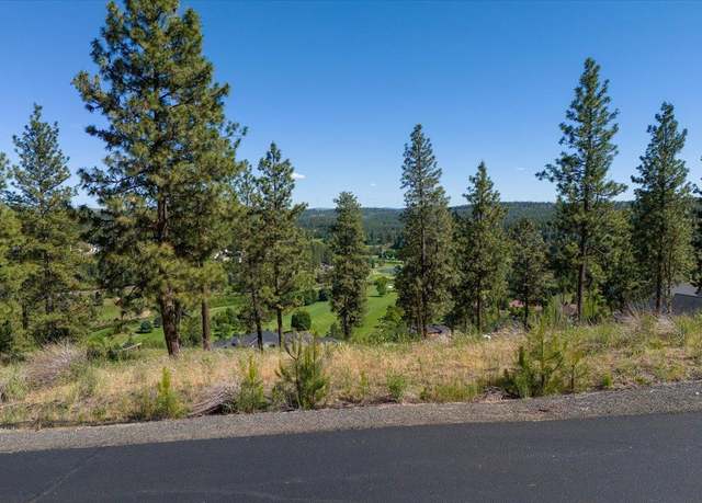 Property at 11615 S Elk Run Ln, Spokane, WA 99224